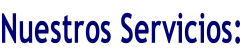 Nuestros Servicios: